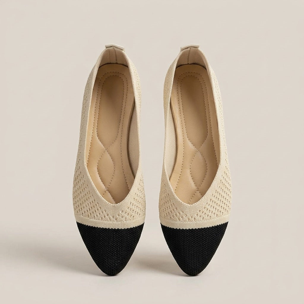 Lottie two-tone pointed flats, pair, view from above